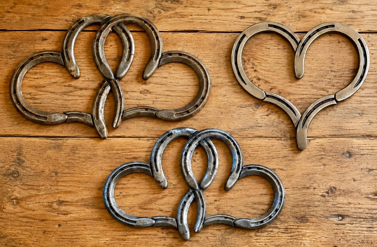 Horseshoe Art