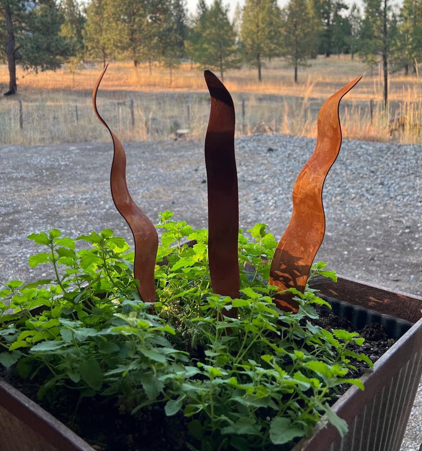 Wavy Rusty Garden Stakes: Rustic Metal Garden Art