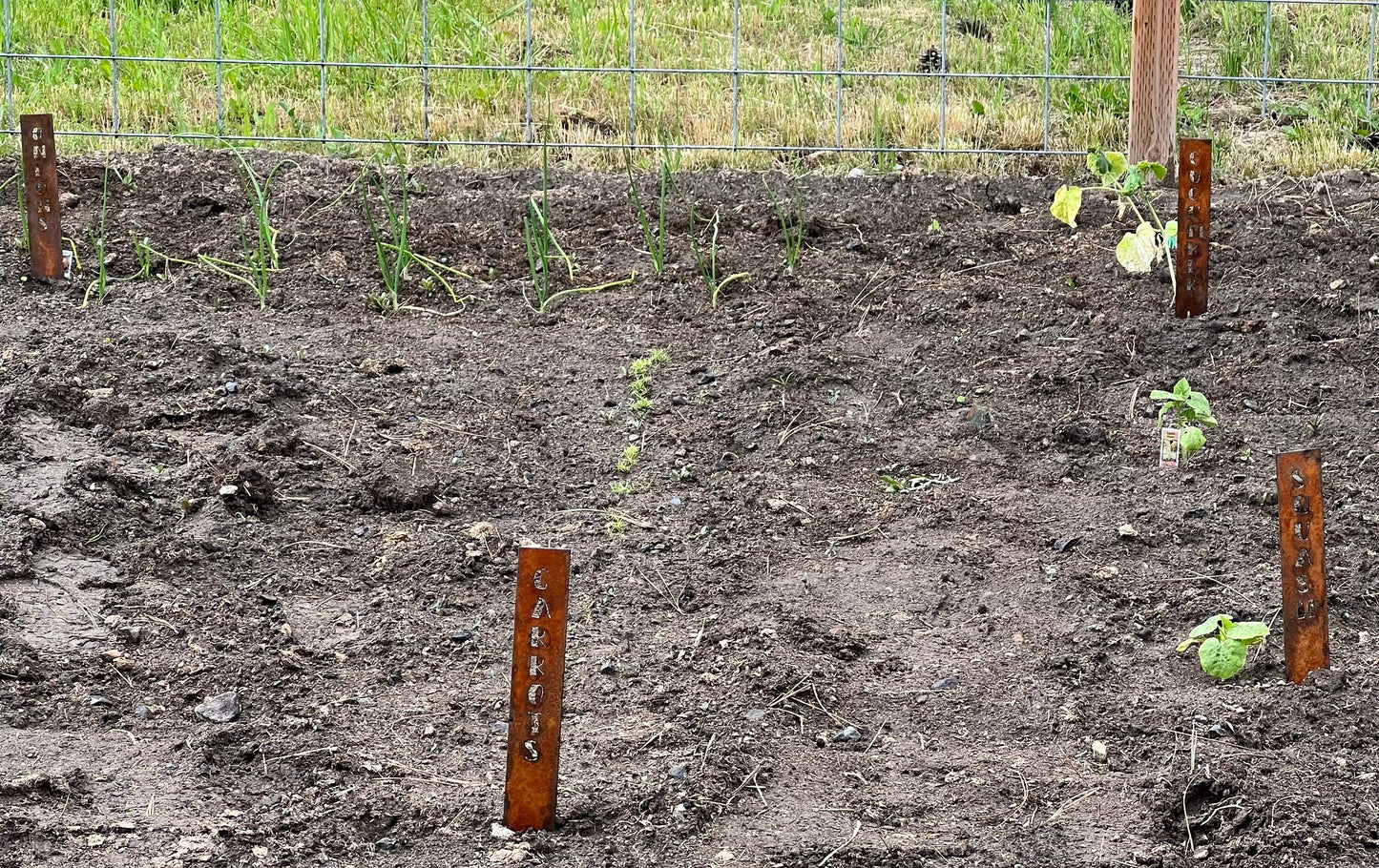 Rusty Metal Vegetable Garden Stakes: Rustic Plant Markers
