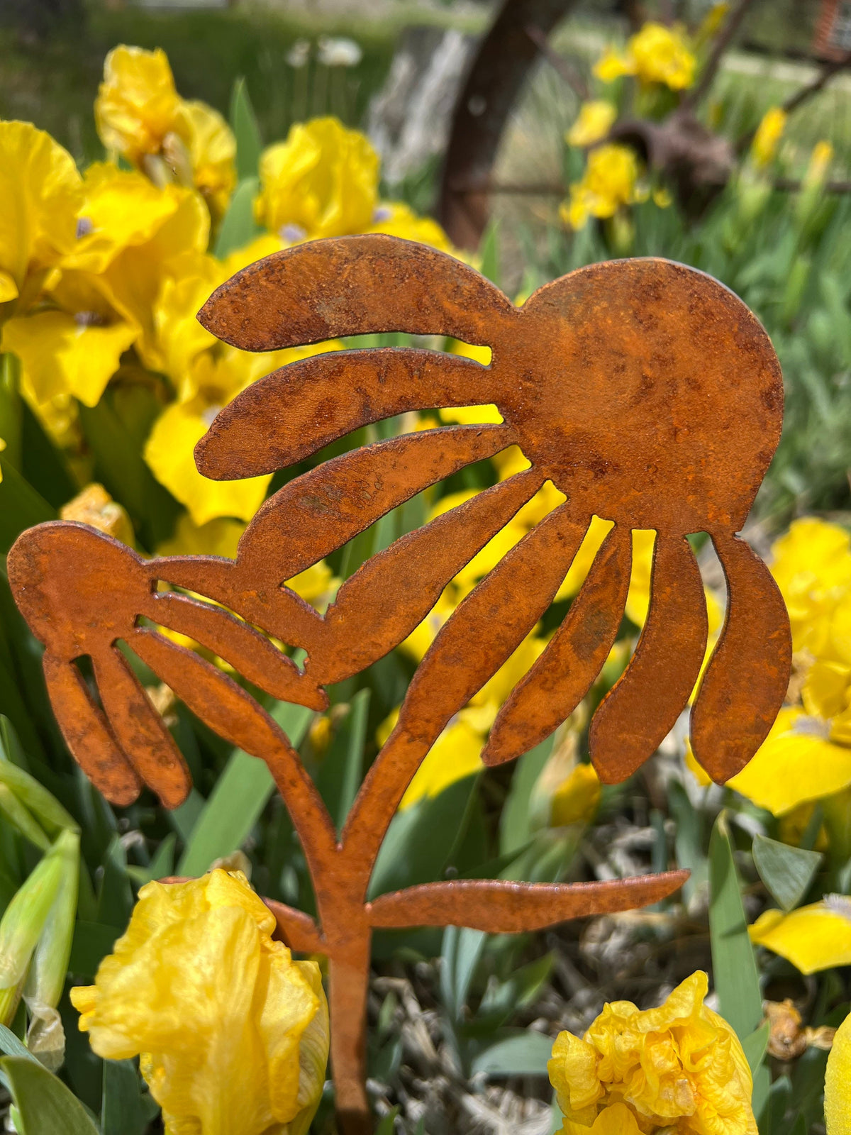 Rusty Metal Coneflower Garden Stake: Natural Rust Finish