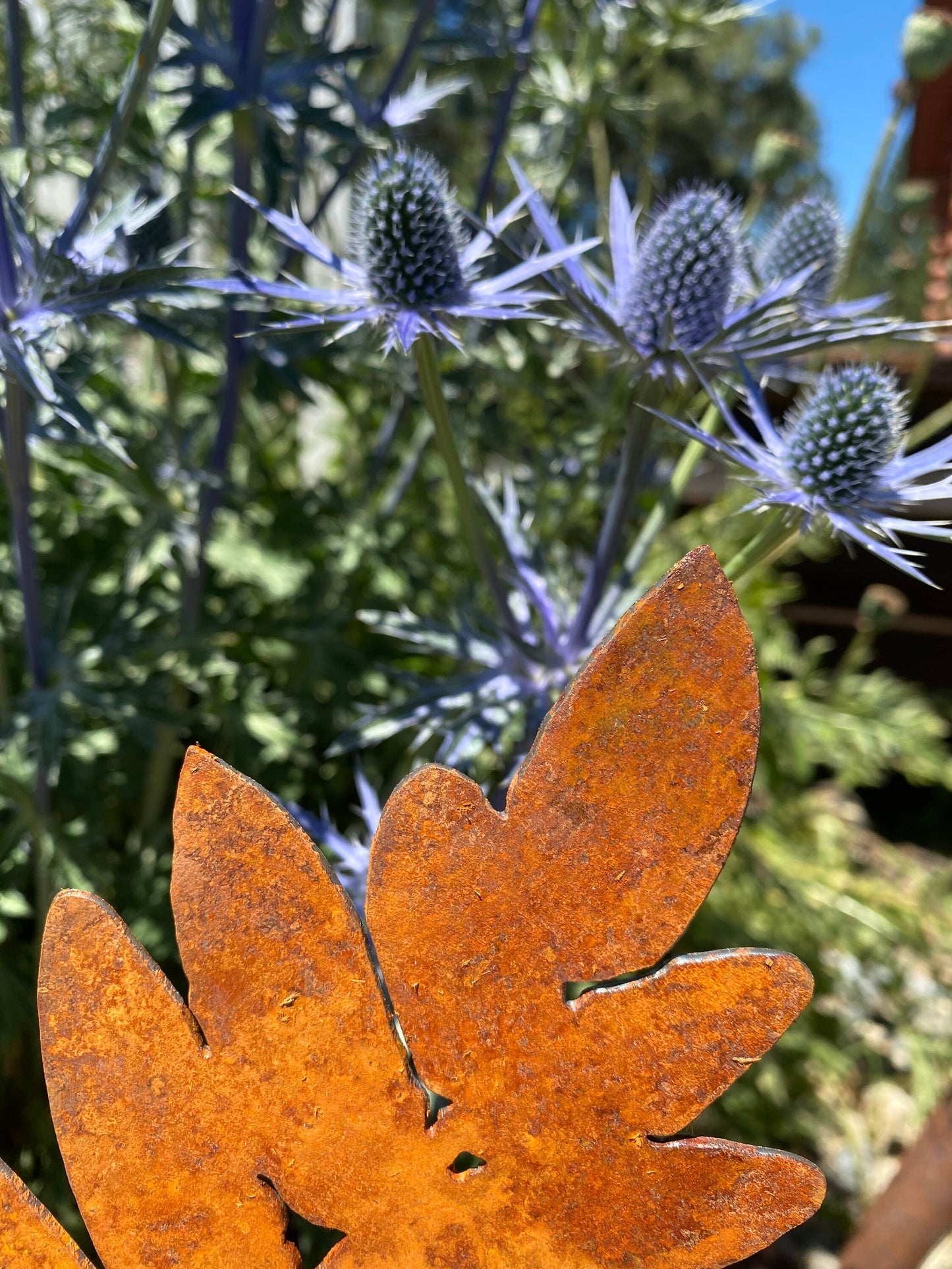 Large Rusty Metal Fern Garden Stakes: Natural Rust Finish