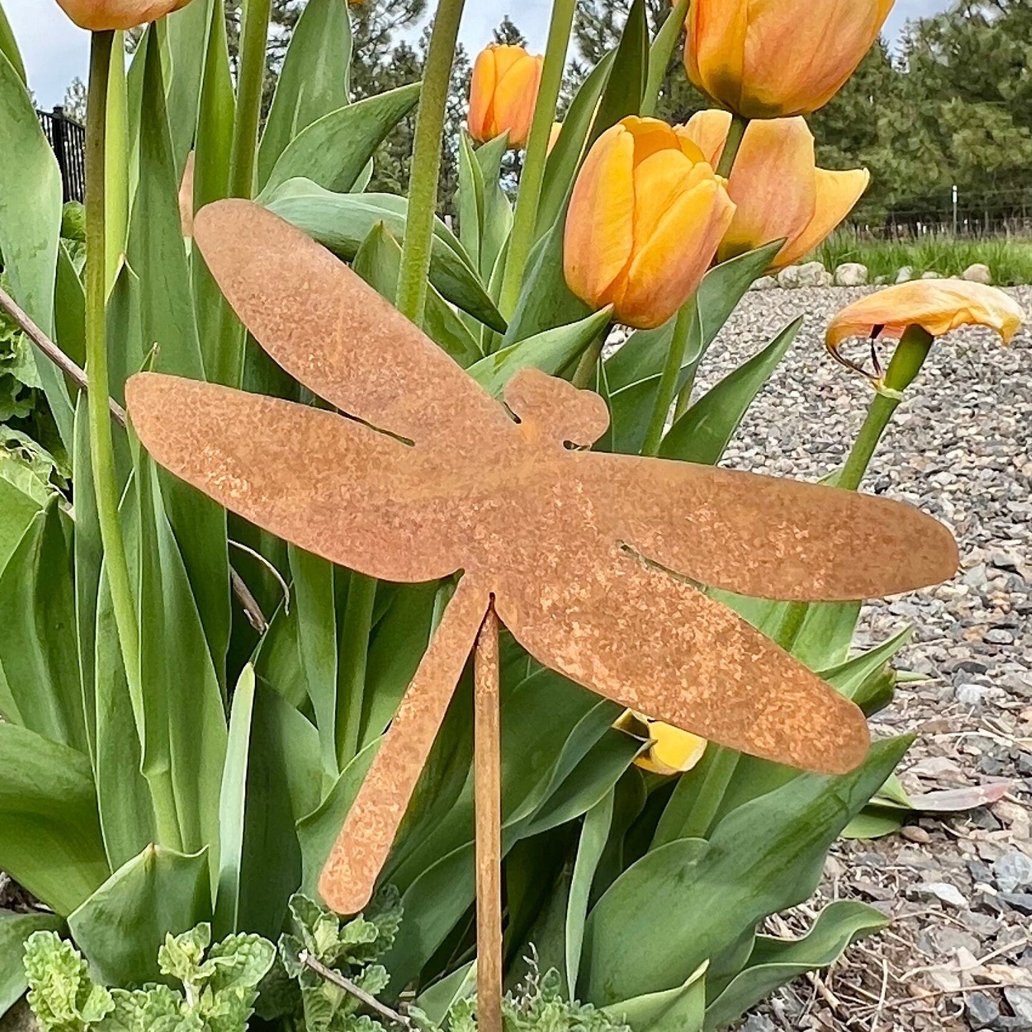 Rusty Steel Bee or Dragonfly Garden Stake - Natural Rust Finish