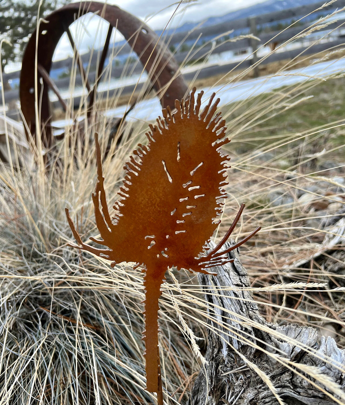 Rusty Thistle Garden Stake: Rustic Metal Garden Art