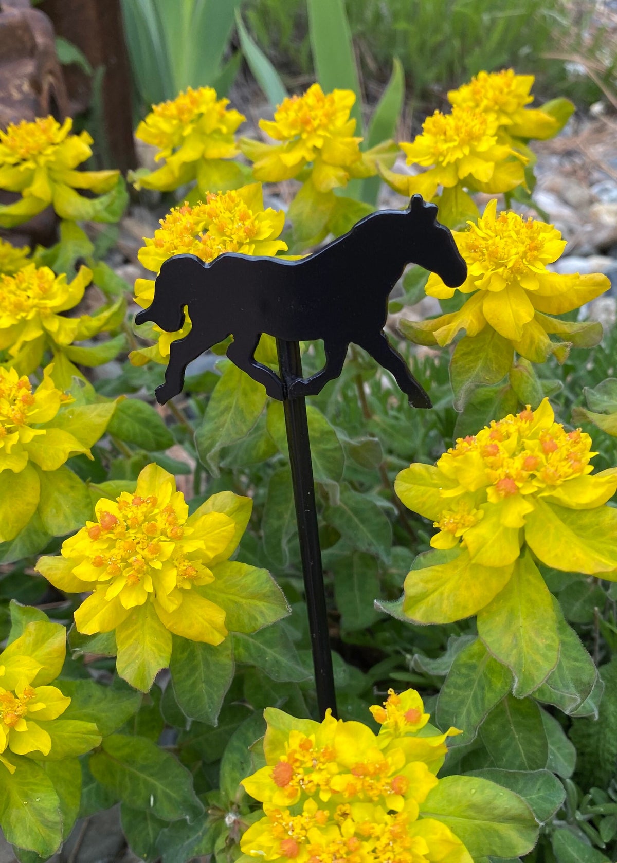Rustic Metal Garden Stakes: Butterfly, Dragonfly, Horse Decor