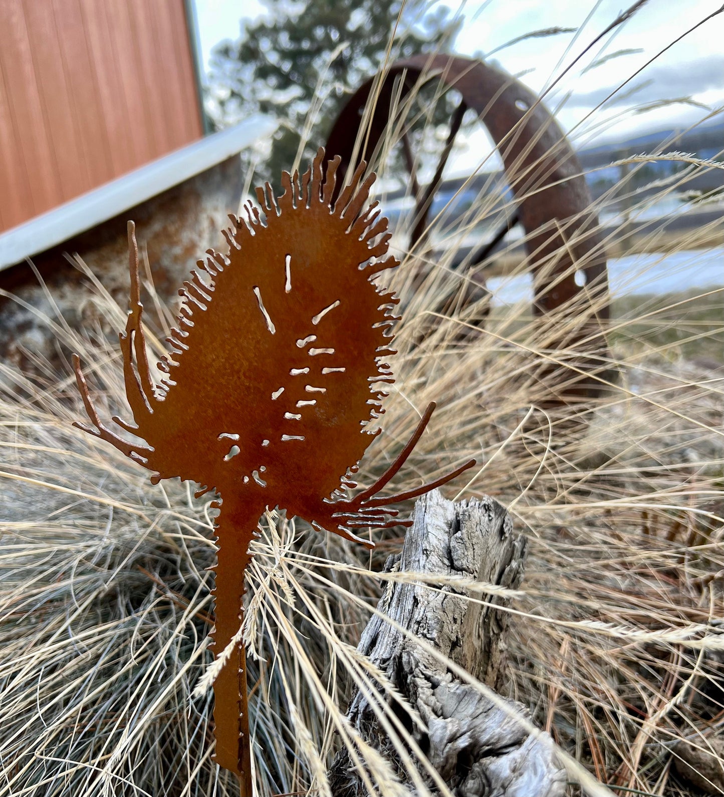 Rusty Thistle Garden Stake: Rustic Metal Garden Art