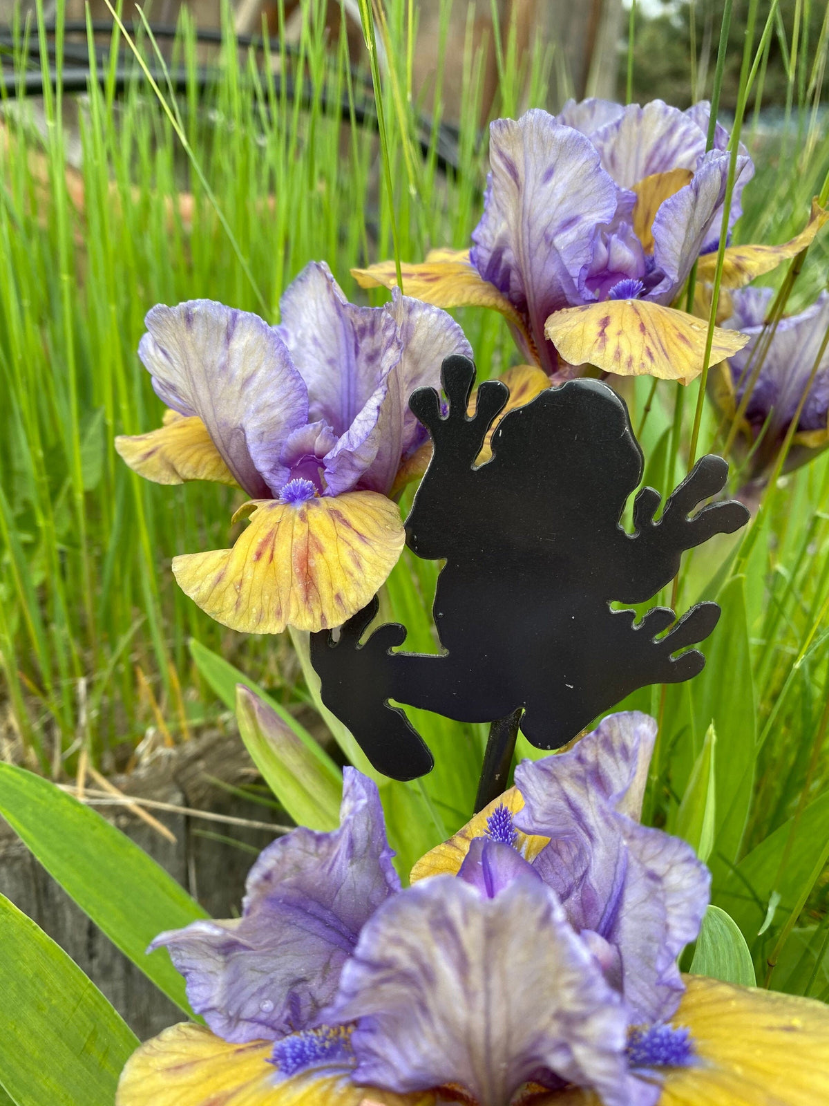 Rustic Metal Garden Stakes: Butterfly, Dragonfly, Horse Decor