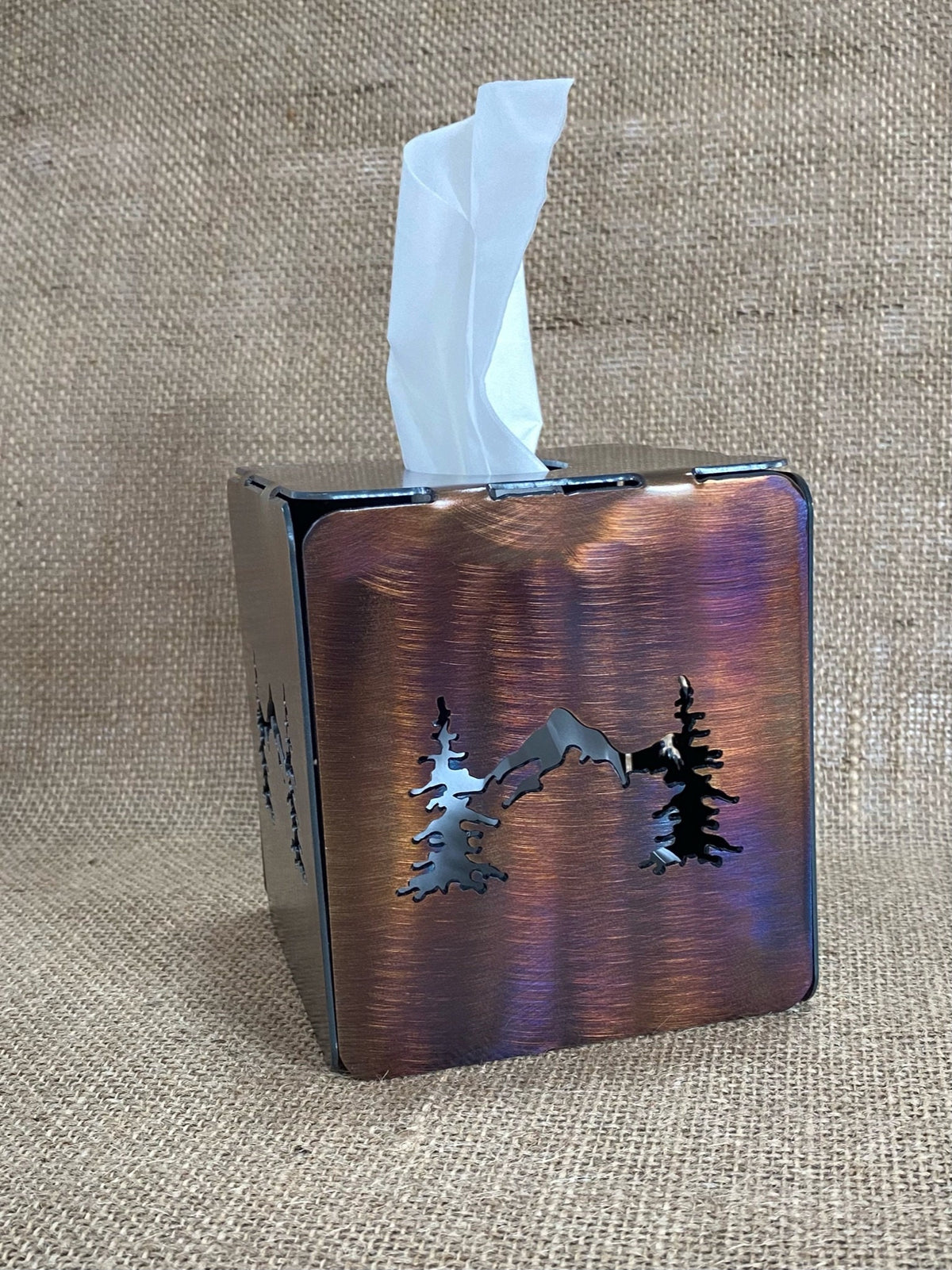 Rustic Steel Tissue Box Cover: Horse, Mountain, or Succulent Design