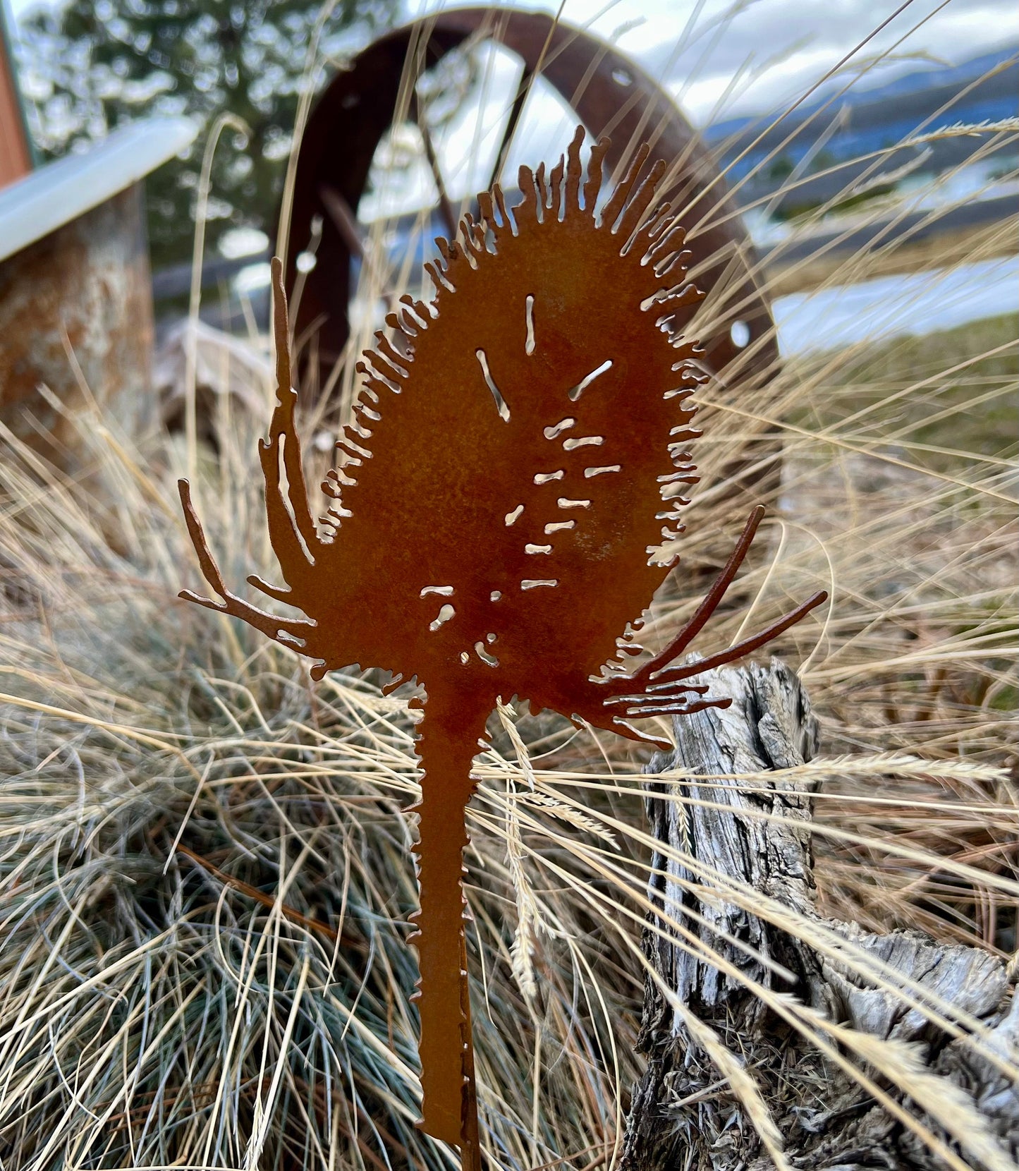 Rusty Thistle Garden Stake: Rustic Metal Garden Art