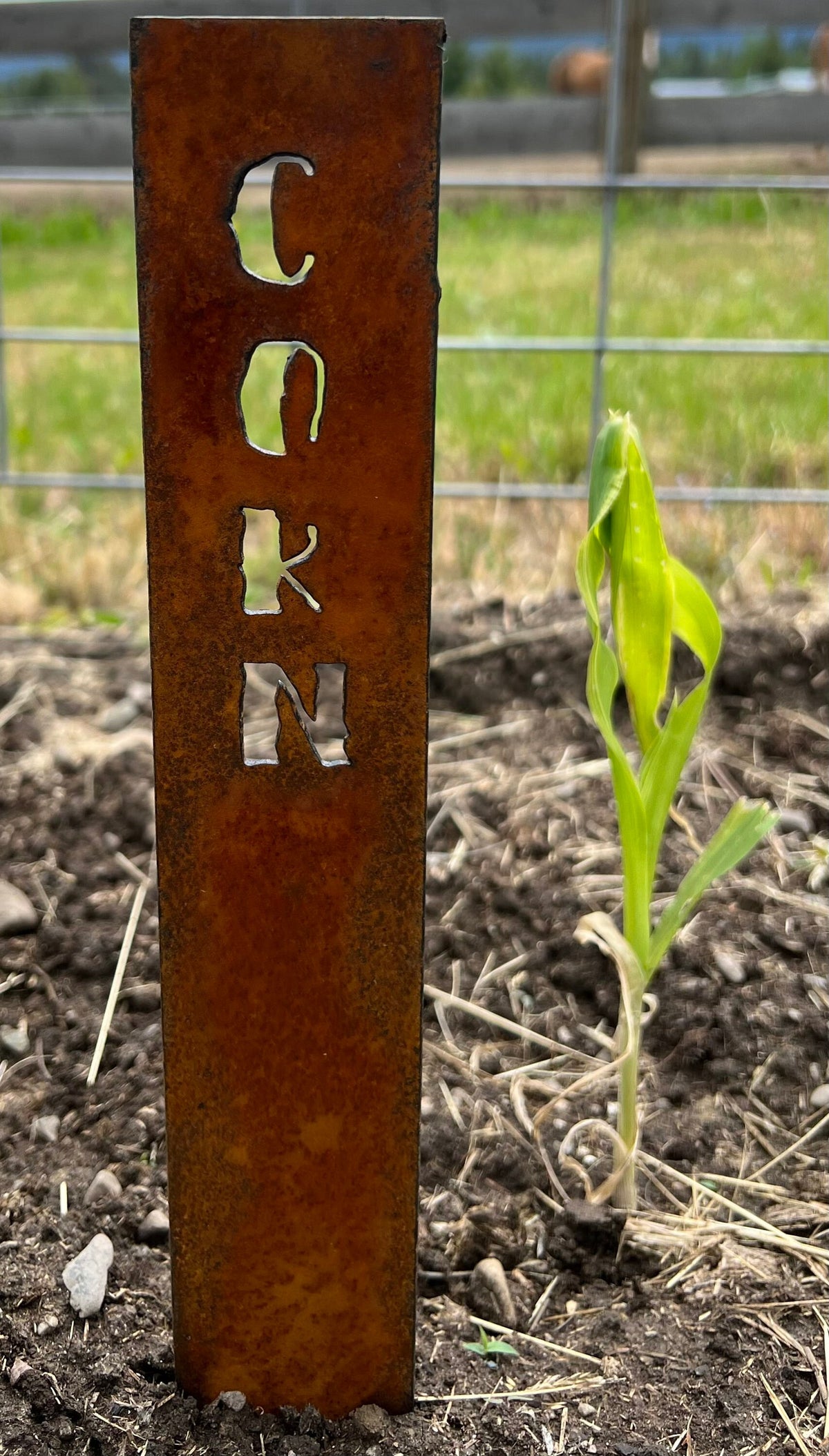 Rusty Metal Vegetable Garden Stakes: Rustic Plant Markers