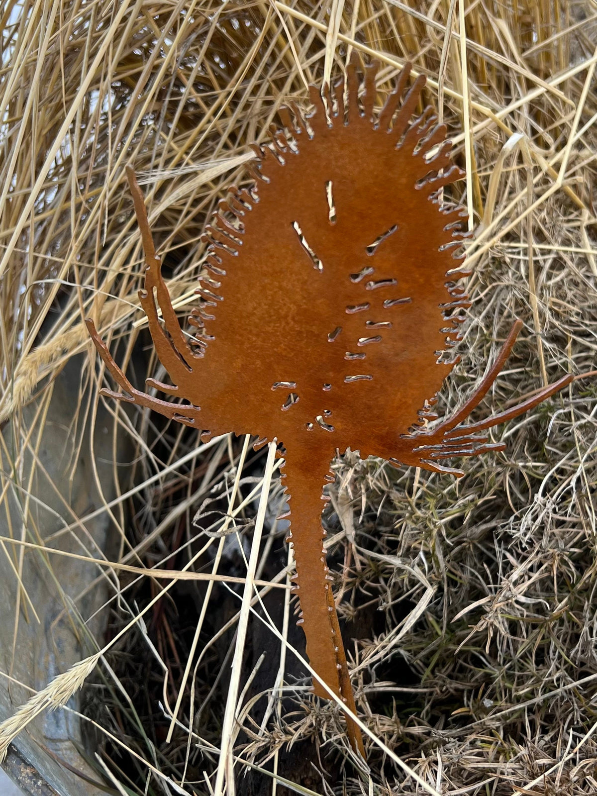 Rusty Thistle Garden Stake: Rustic Metal Garden Art