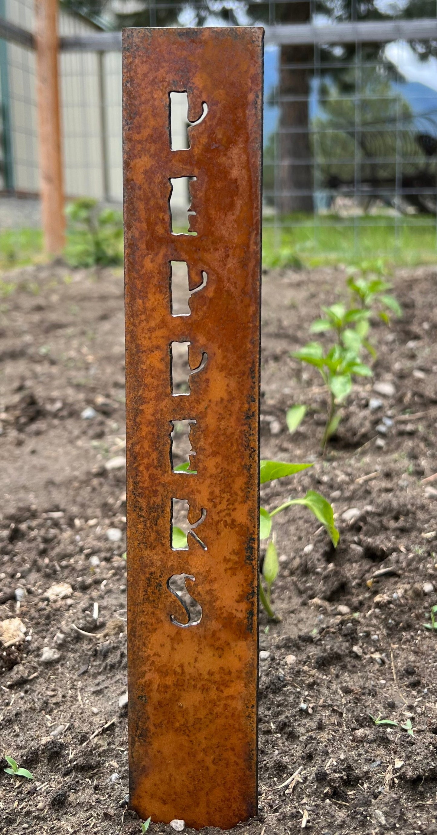 Rusty Metal Vegetable Garden Stakes: Rustic Plant Markers