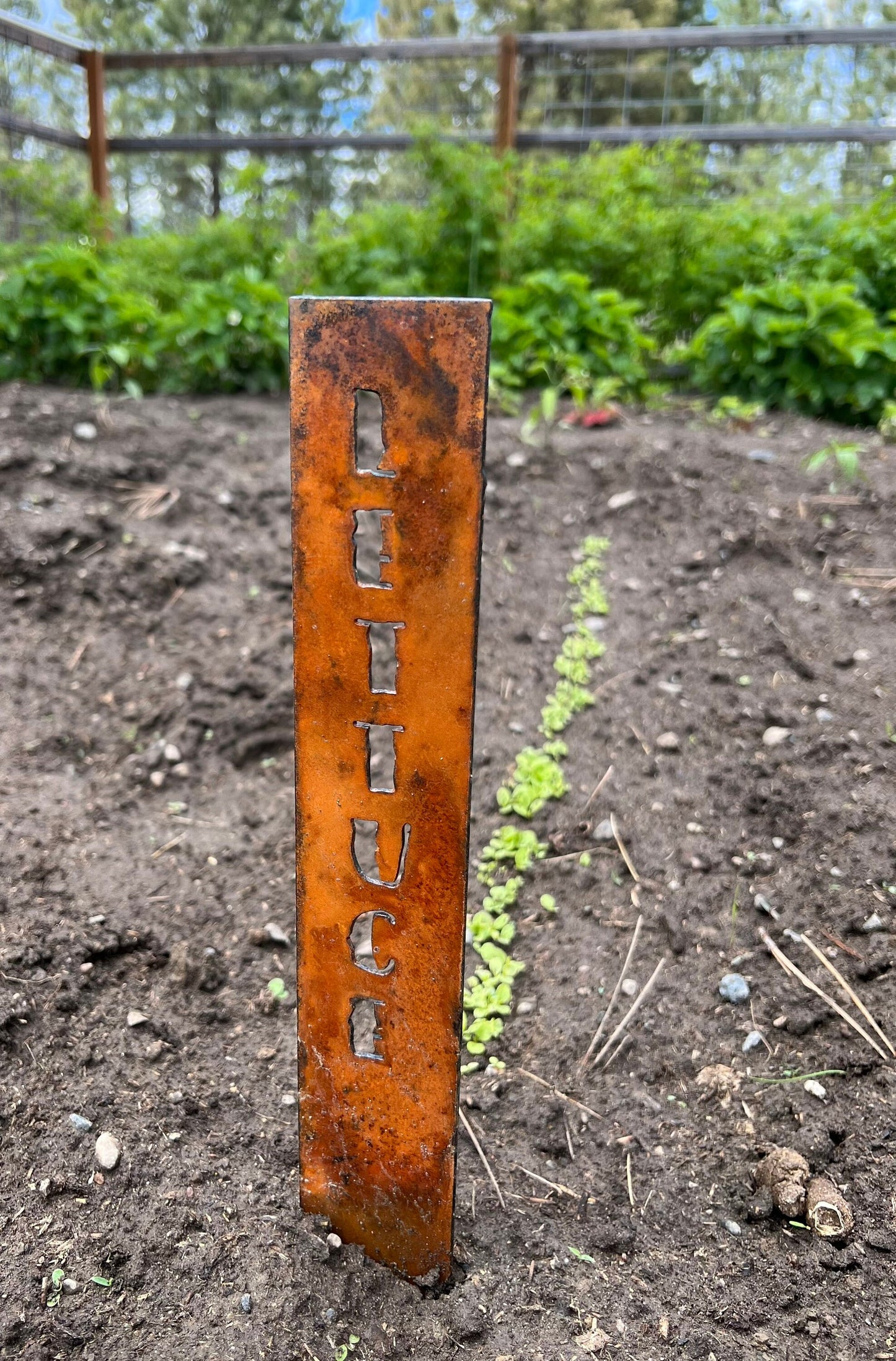 Rusty Metal Vegetable Garden Stakes: Rustic Plant Markers