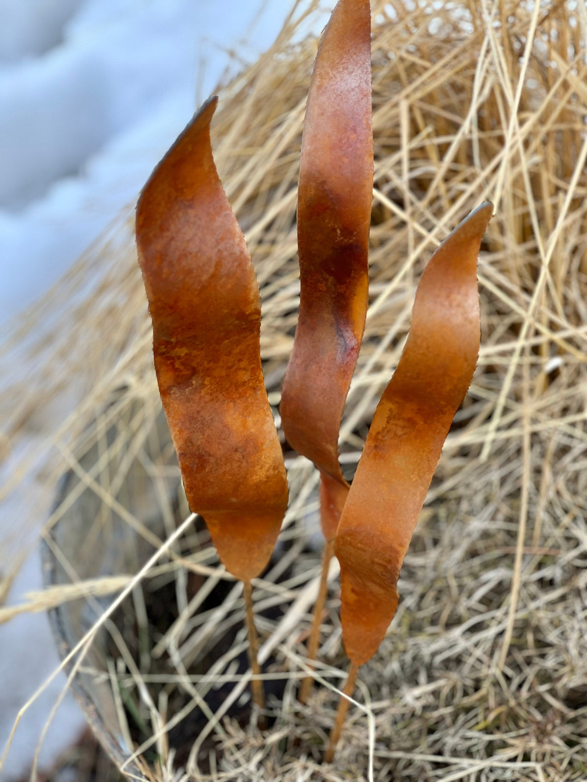 Wavy Rusty Garden Stakes: Rustic Metal Garden Art