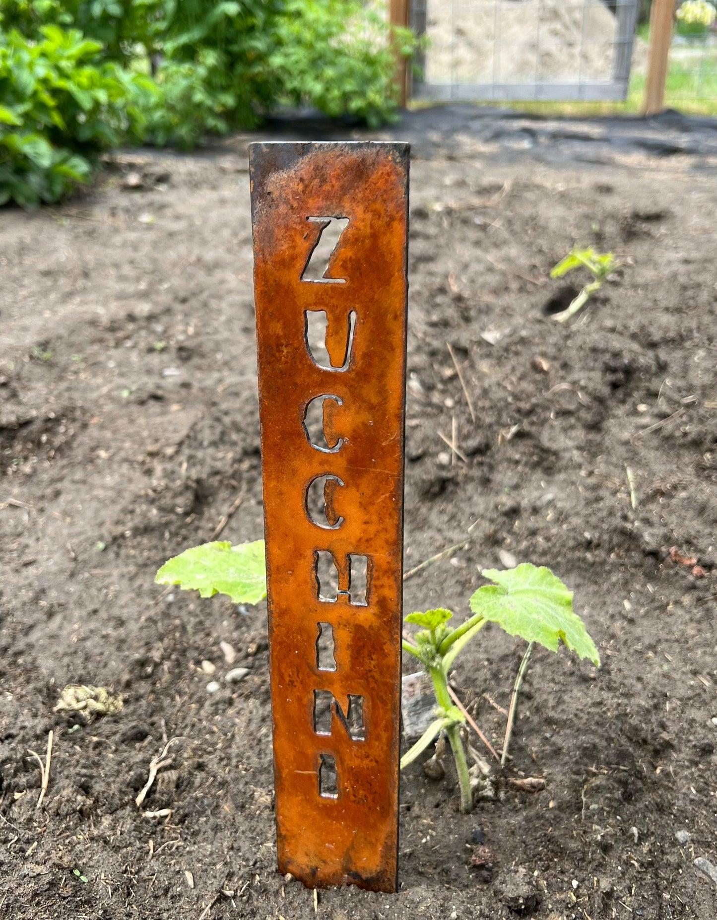 Rusty Metal Vegetable Garden Stakes: Rustic Plant Markers