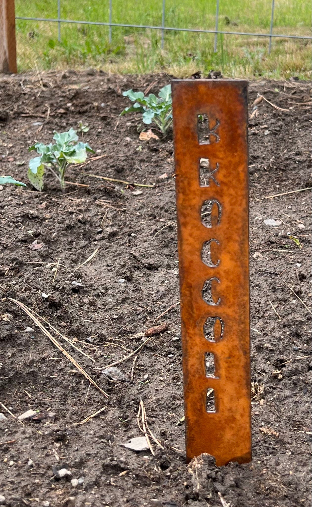 Rusty Metal Vegetable Garden Stakes: Rustic Plant Markers