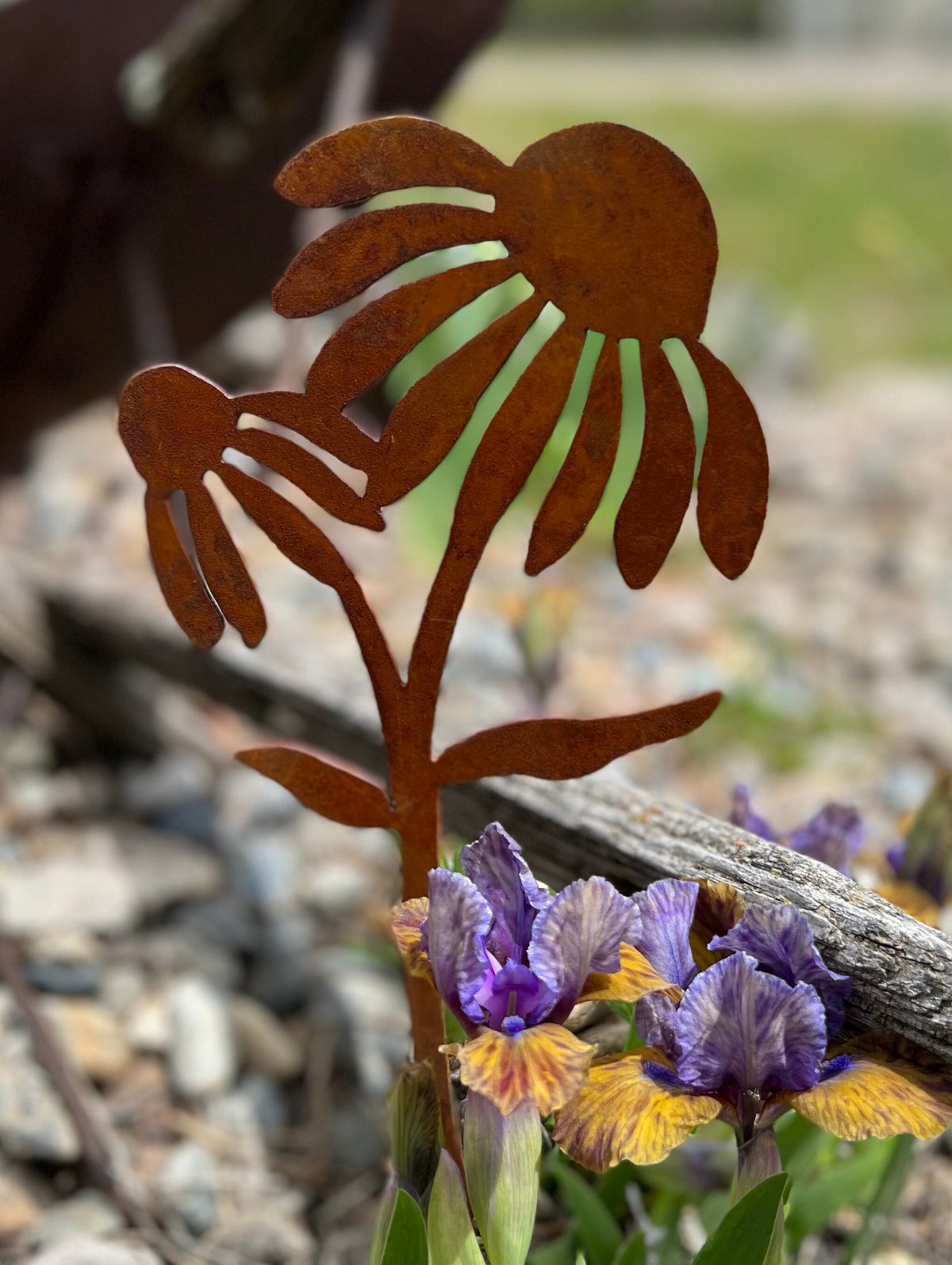 Rusty Metal Coneflower Garden Stake: Natural Rust Finish