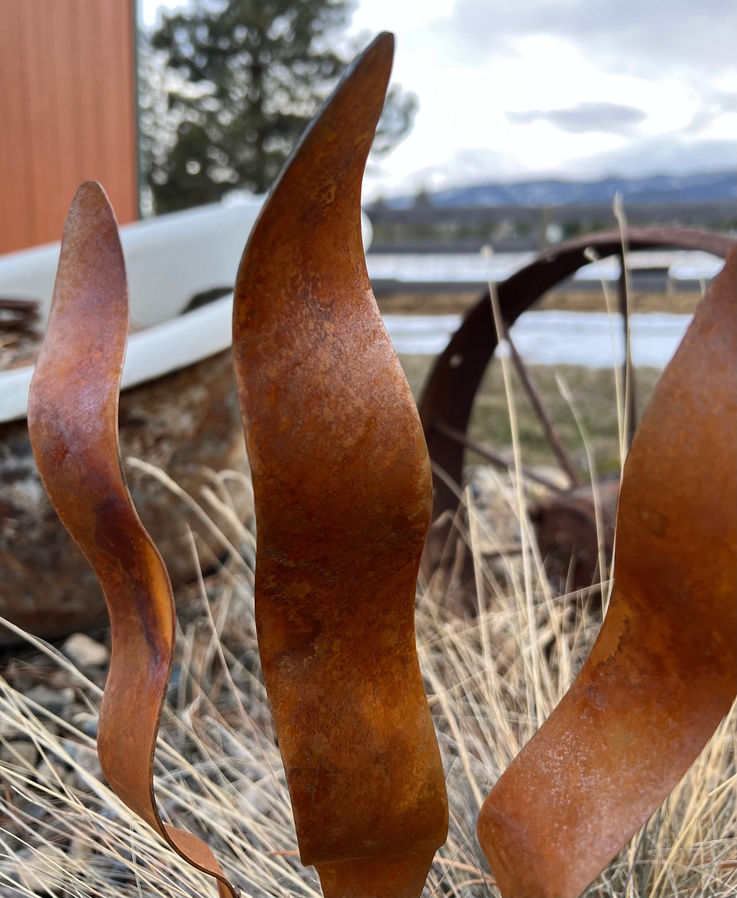 Wavy Rusty Garden Stakes: Rustic Metal Garden Art