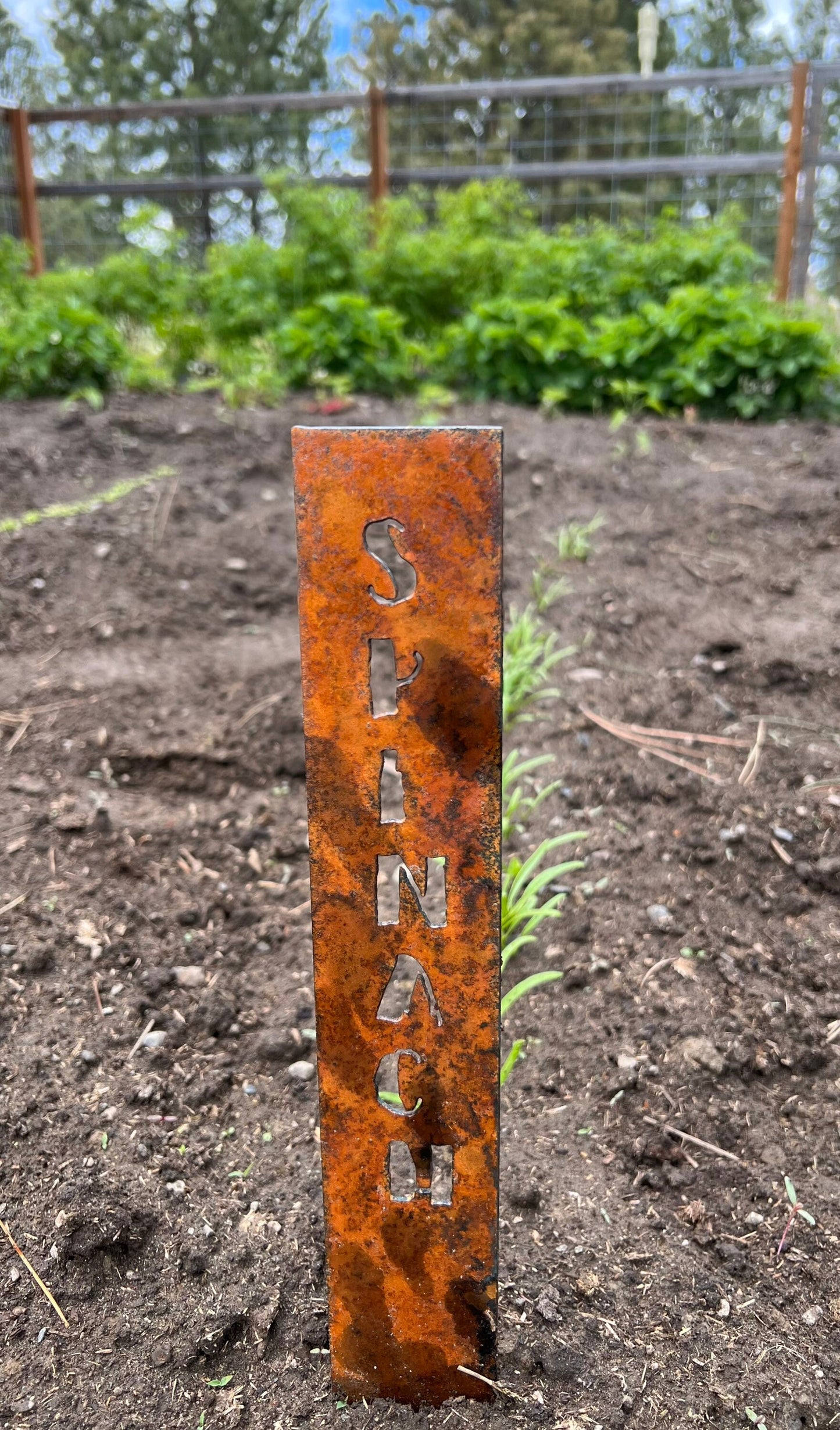 Rusty Metal Vegetable Garden Stakes: Rustic Plant Markers