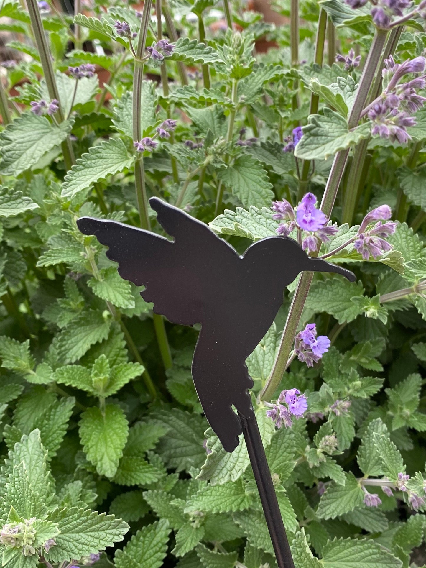 Rustic Metal Garden Stakes: Butterfly, Dragonfly, Horse Decor