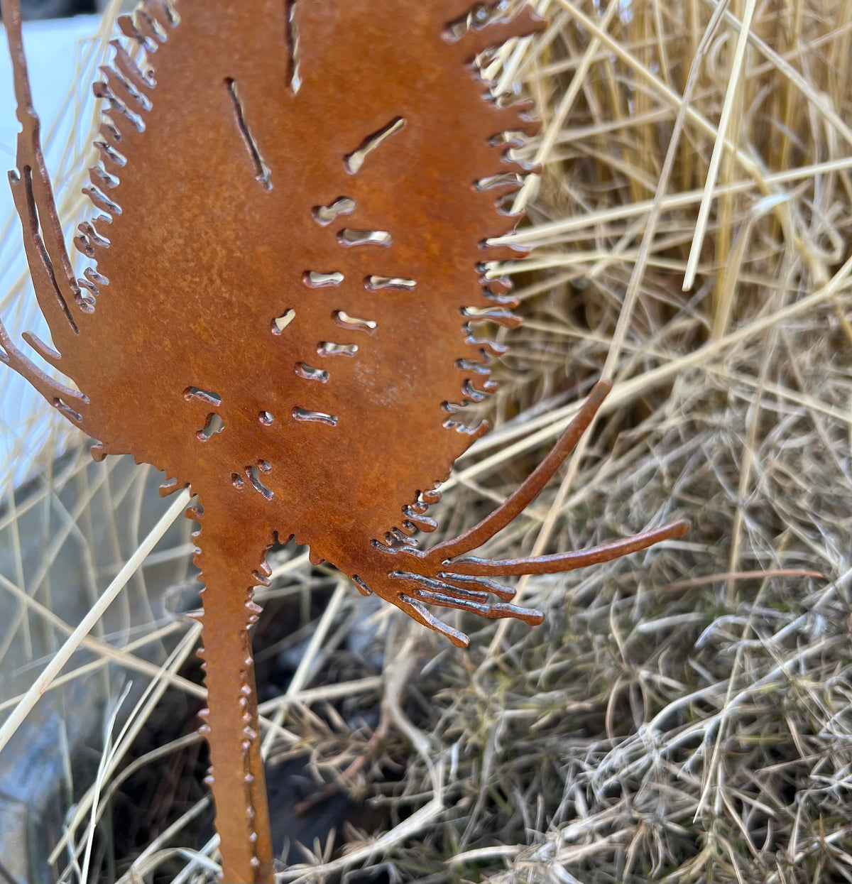 Rusty Thistle Garden Stake: Rustic Metal Garden Art