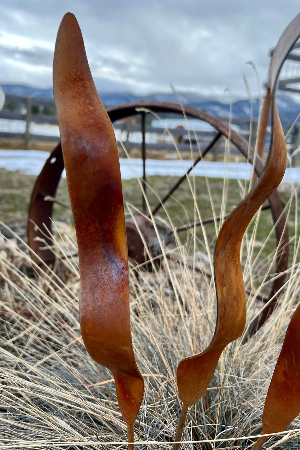 Wavy Rusty Garden Stakes: Rustic Metal Garden Art