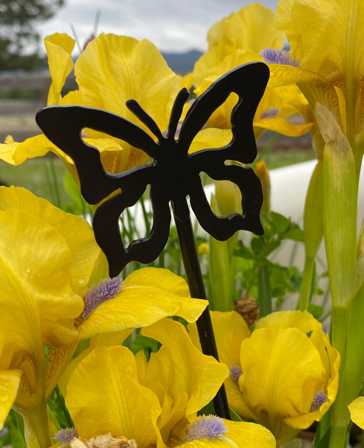 Rustic Metal Garden Stakes: Butterfly, Dragonfly, Horse Decor