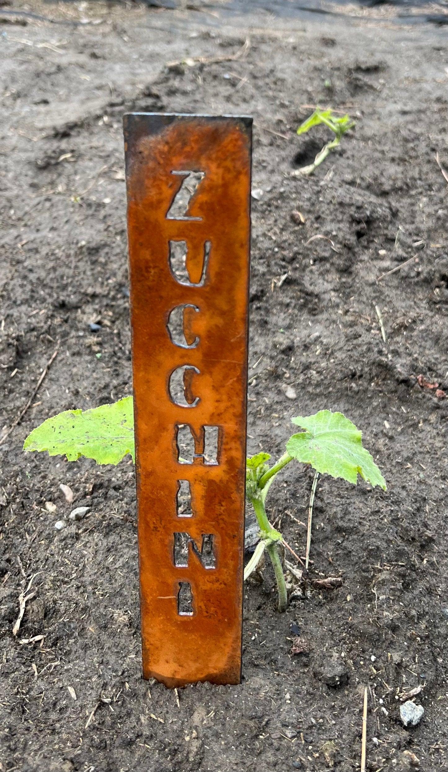 Rusty Metal Vegetable Garden Stakes: Rustic Plant Markers